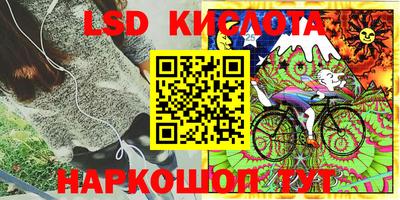 винт Обнинск