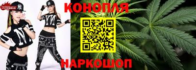 Альфа ПВП Новозыбков