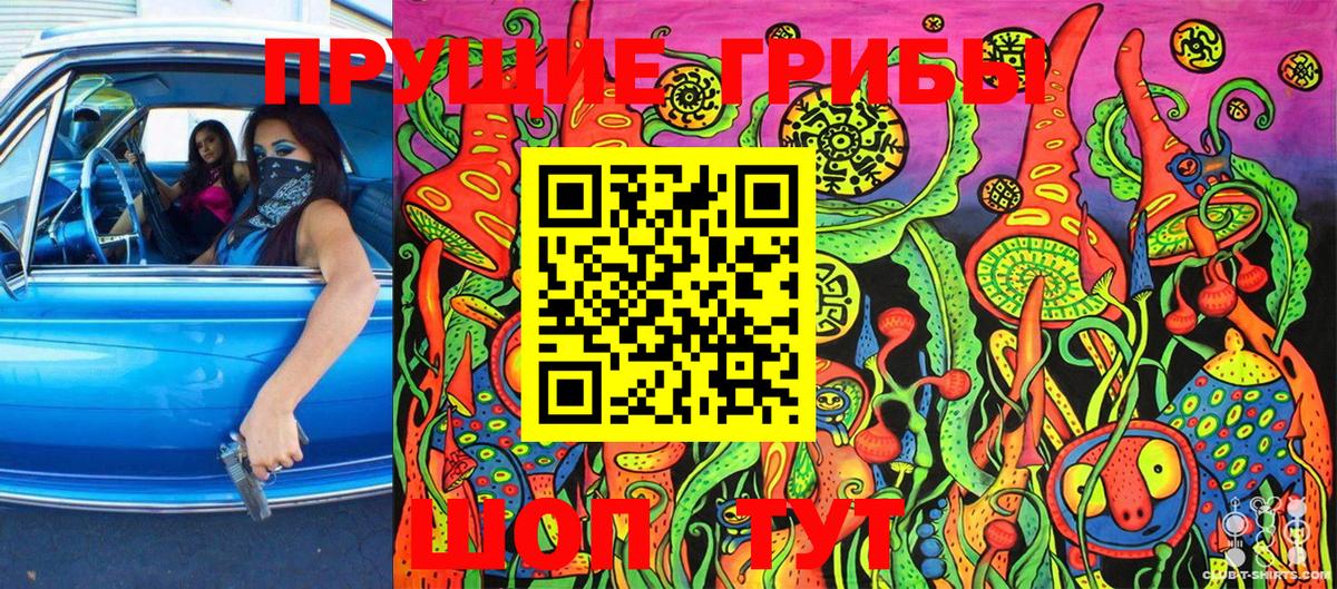 Псилоцибиновые грибы Psilocybine cubensis  Вход с VPN  Салехард 