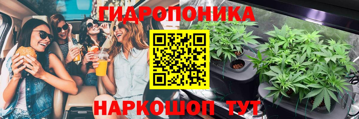 Шишки марихуана White Widow  Конопля Ganja  Вход с VPN  Конопля VHQ  Канабис SATIVA & INDICA  Салехард 